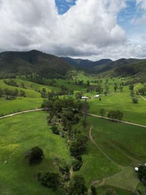 Farm For Sale - NSW - Kempsey - 2440 - Macleay River Grazing  (Image 2)