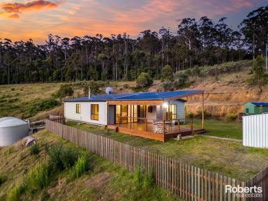 Farm Sold - TAS - Nugent - 7172 - Living with Nature with Stunning views  (Image 2)