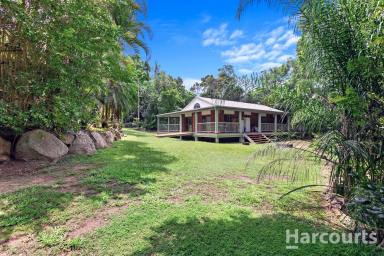 Farm For Sale - QLD - Craignish - 4655 - First Time on the Market -5 Acres of Serenity!  (Image 2)