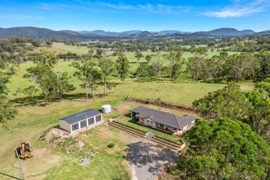 Farm For Sale - NSW - Stroud - 2425 - RURAL LIFESTYLE INCOME  (Image 2)