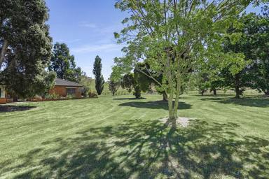 Farm Sold - VIC - Gobur - 3719 - Rural Retreat on 167 Acres With Income Potential  (Image 2)