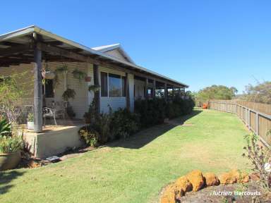 Farm For Sale - WA - Yetna - 6532 - "Annasherrie"  (Image 2)