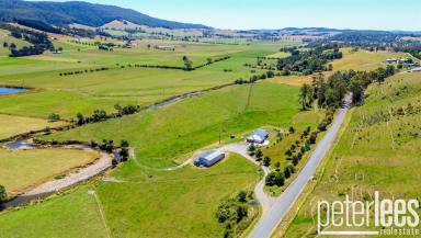 Farm Sold - TAS - Karoola - 7267 - Another Property SOLD SMART by Peter Lees Real Estate  (Image 2)