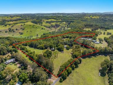 Farm For Sale - NSW - Corndale - 2480 - Cosy Country Lifestyle in Corndale.  (Image 2)