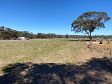 Farm Sold - SA - Keyneton - 5353 - Quality lifestyle property. Well fenced, mains water, productive, arable, flat country. Perfect for your special country residence (STCC).  (Image 2)