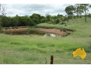 Farm For Sale - QLD - Dangore - 4610 - Great starter property or an additional add on to boost your existing operation.  (Image 2)