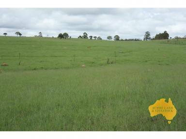 Farm For Sale - QLD - Dangore - 4610 - Great starter property or an additional add on to boost your existing operation.  (Image 2)