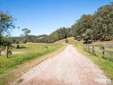 Farm Sold - TAS - Tugrah - 7310 - Prime Property : 137 Acres (approx.) of Versatile Land with Don River Access - Could be your next home!  (Image 2)