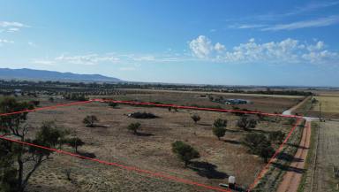 Farm For Sale - SA - Napperby - 5540 - Vacant Land on approx 9 acres  (Image 2)