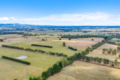 Farm For Sale - VIC - Yarragon - 3823 - 152 acres with sweeping views- creek frontage  (Image 2)