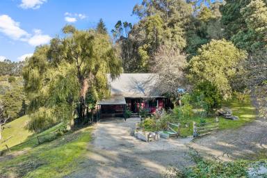 Farm Sold - VIC - Allambee - 3823 - Tranquil Oasis on 5 Acres: Charming Retreat in Allambee  (Image 2)