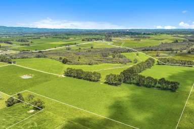 Farm For Sale - VIC - Darnum - 3822 - ''ROOM TO MOVE'' 151 acre to build your dream.  (Image 2)