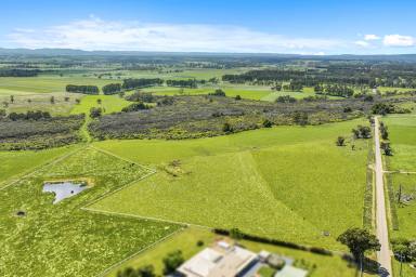 Farm For Sale - VIC - Darnum - 3822 - ''ROOM TO MOVE'' 151 acre to build your dream.  (Image 2)