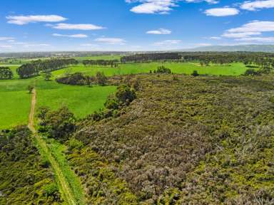 Farm For Sale - VIC - Darnum - 3822 - ''ROOM TO MOVE'' 151 acre to build your dream.  (Image 2)