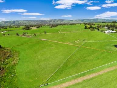 Farm For Sale - VIC - Darnum - 3822 - ''ROOM TO MOVE'' 151 acre to build your dream.  (Image 2)