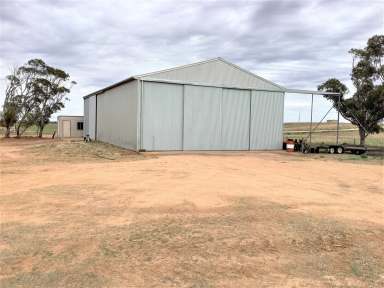 Farm Expressions of Interest - SA - Kimba - 5641 - Freehold  (Image 2)