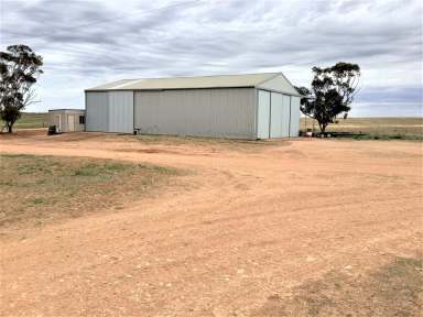 Farm Sold - SA - Kimba - 5641 - Freehold  (Image 2)