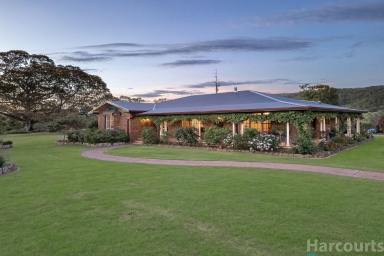 Farm Sold - NSW - Paterson - 2421 - "RETTAL" A Much Loved Homestead on Picturesque Grazing Farmland  (Image 2)