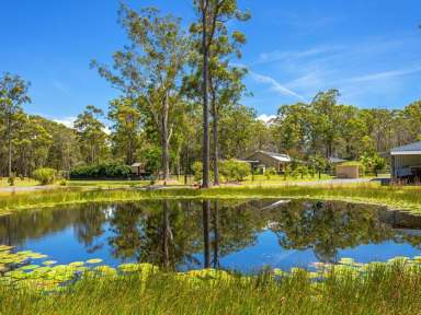 Farm Sold - NSW - Old Bar - 2430 - IMPRESSIVE COASTAL ACREAGE  (Image 2)