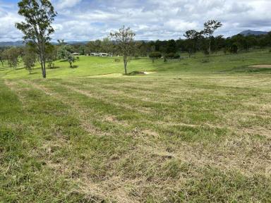 Farm For Sale - QLD - Widgee - 4570 - COUNTRY CHANGE  (Image 2)