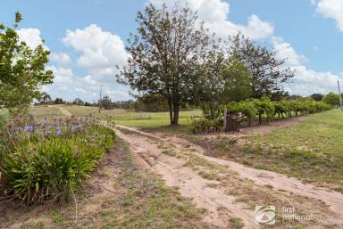 Farm Sold - NSW - Mudgee - 2850 - DO THE WORK, ENJOY THE VIEW  (Image 2)