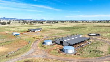 Farm Sold - NSW - Tamworth - 2340 - WELL DEVELOPED EQUINE PROPERTY CLOSE TO TAMWORTH  (Image 2)