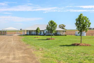 Farm Sold - NSW - Tamworth - 2340 - GLENORE - THE IDEAL FUSION OF PRODUCTION AND LIFESTYLE  (Image 2)