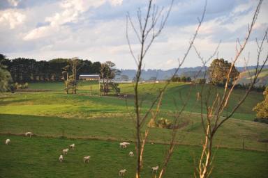 Farm For Sale - VIC - Foster North - 3960 - ENJOY THE SAFETY AND FREEDOM OF THIS LIFESTYLE PROPERTY WITH SCENIC VIEWS IN THE MEENIYAN/FOSTER AREA  (Image 2)