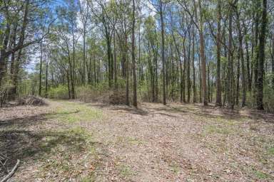 Farm Sold - NSW - Seaham - 2324 - Agent onsite Saturday 10/2/24 12.30pm.  (Image 2)