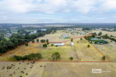 Farm Sold - WA - King River - 6330 - Easy-Care Peaceful Lifestyle Gem on City Outskirts  (Image 2)