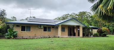 Farm Sold - QLD - Cardwell - 4849 - Large 3 bedroom + office rural residence with pool, high clearance shed & room to move  (Image 2)