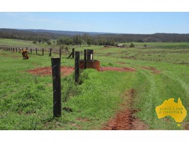 Farm For Sale - QLD - Mount McEuen - 4606 - Country Living close to town.  (Image 2)