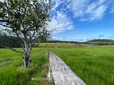 Farm For Sale - QLD - Julatten - 4871 - 37 ACRE ELEVATED LIFESTYLE/GRAZING BLOCK  (Image 2)