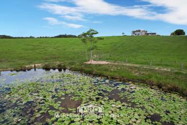 Farm For Sale - QLD - Julatten - 4871 - 37 ACRE ELEVATED LIFESTYLE/GRAZING BLOCK  (Image 2)