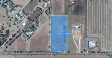 Farm Sold - SA - Crystal Brook - 5523 - Approx 5 Acres of land  (Image 2)