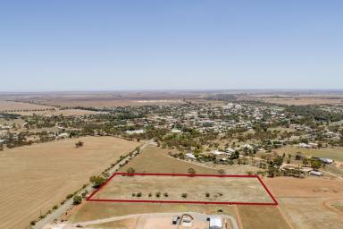 Farm Sold - SA - Crystal Brook - 5523 - Approx 5 Acres of land  (Image 2)