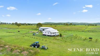 Farm For Sale - QLD - Cryna - 4285 - 43 Acres Dual Living Approved Endless Water 2mins to Beaudesert  (Image 2)