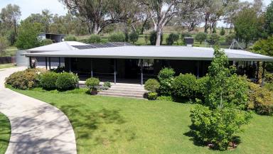 Farm For Sale - NSW - Inverell - 2360 - 'Salta' - Tranquil living  (Image 2)
