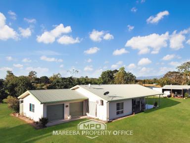Farm Sold - QLD - Mareeba - 4880 - CAREFREE RURAL COUNTRY LIVING  (Image 2)