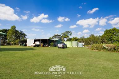 Farm Sold - QLD - Mareeba - 4880 - CAREFREE RURAL COUNTRY LIVING  (Image 2)
