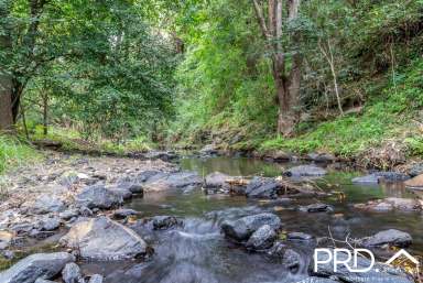 Farm For Sale - NSW - Terrace Creek - 2474 - 277 Acre Grazing Property with Ample Water  (Image 2)