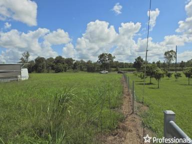 Farm Sold - QLD - Pinnacle - 4741 - Discover Your Perfect Haven! Build Your Dream Home on 1.05 ha of Prime Land!  (Image 2)