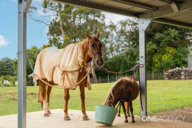 Farm For Sale - TAS - West Mooreville - 7321 - Hobby Farm With an Immaculate Home  (Image 2)