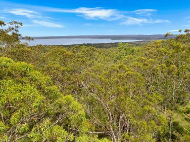 Farm For Sale - NSW - Ashby Heights - 2463 - Prime Land with Scenic Views - Your Dream Home Awaits!  (Image 2)