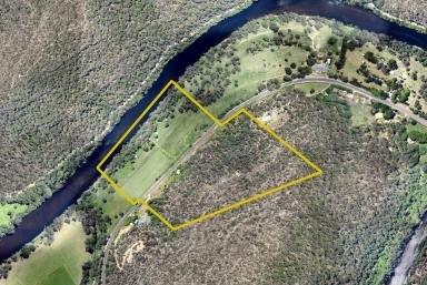 Farm For Sale - NSW - Colo - 2756 - DA approved equestrian's dream on the river!  (Image 2)