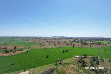 Farm For Sale - NSW - Delungra - 2403 - LOCH LEVEN  (Image 2)