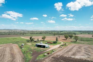 Farm For Sale - NSW - Delungra - 2403 - LOCH LEVEN  (Image 2)