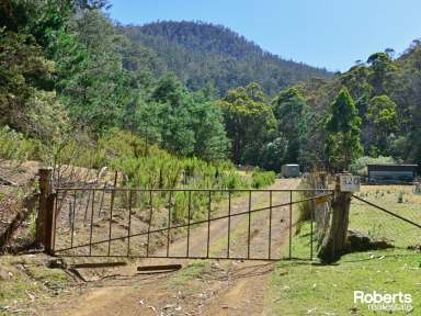 Farm For Sale - TAS - Magra - 7140 - Peaceful & Private  (Image 2)