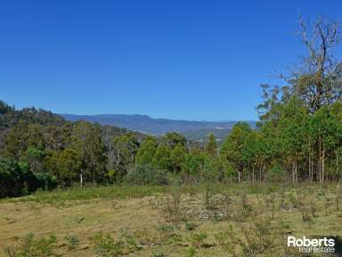 Farm For Sale - TAS - Magra - 7140 - Peaceful & Private  (Image 2)