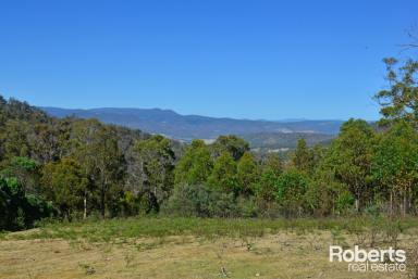 Farm For Sale - TAS - Magra - 7140 - Discover Your Perfect Escape - Peace and Private  (Image 2)